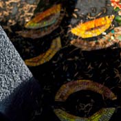 anders gedenken, wouter bouwman, gedenktekens in steen en mozaiek, thumb06